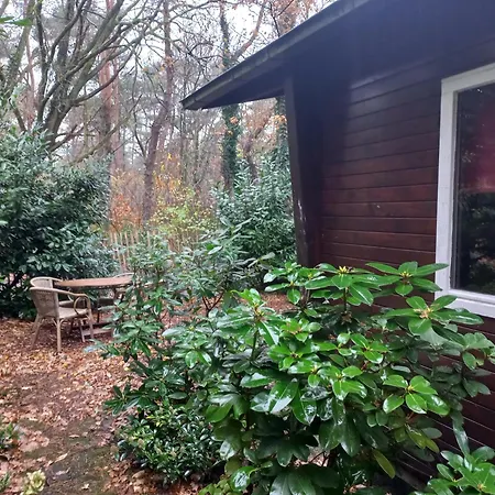 Bosrust Nr 38 Camping